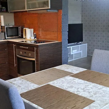 公寓 Centre Duplex 塔林