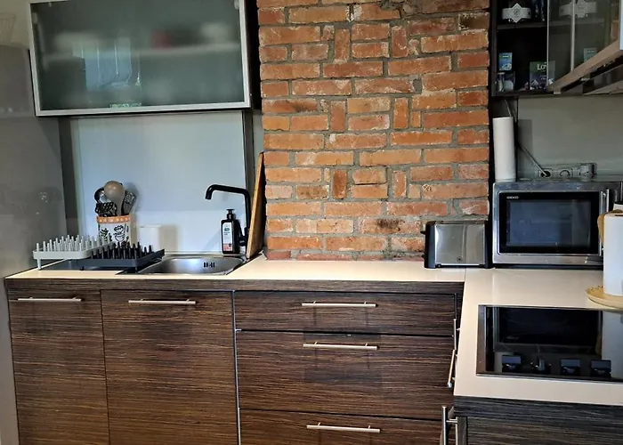 市中心复式公寓 塔林